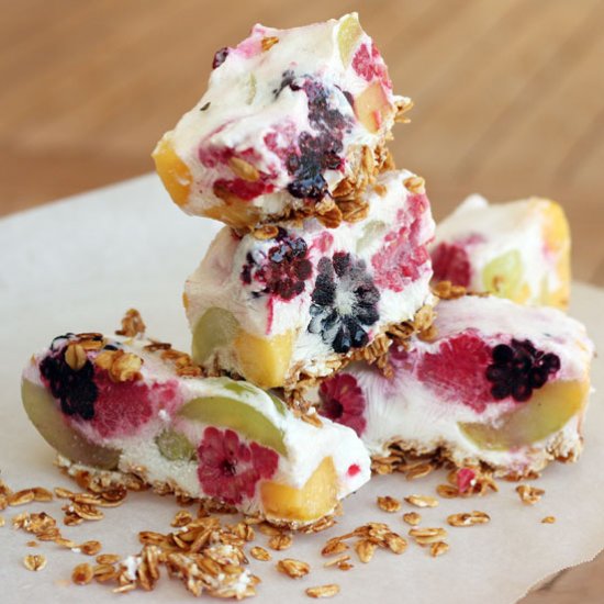 Irresistible Frozen Yogurt Recipe