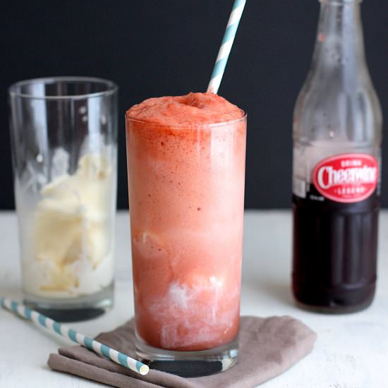 Cheerwine Ice Cream Floats