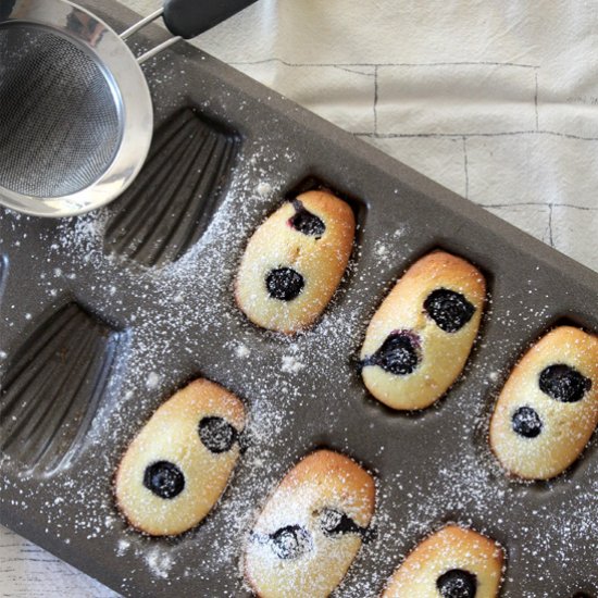 Lemon blueberry madeleines