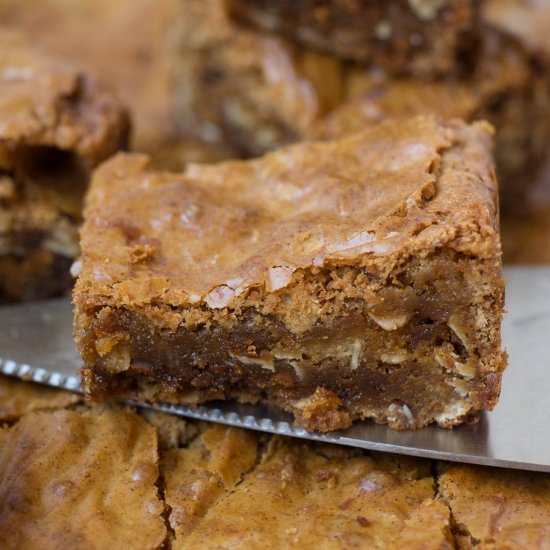 Cinnamon Chip Oatmeal Blondies