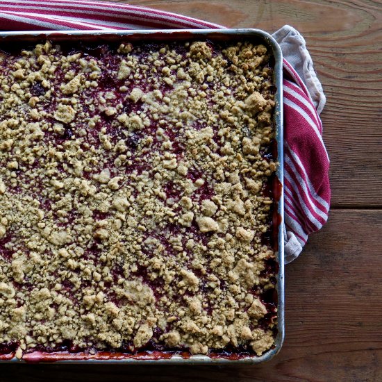 Red Currant Shortbread Bars