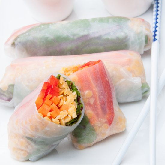 Red Lentil Spring Rolls