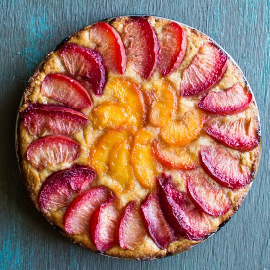 Gluten-Free Pluot Torte