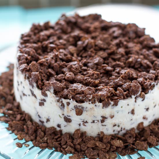 Mocha Crunch Ice Cream Cake