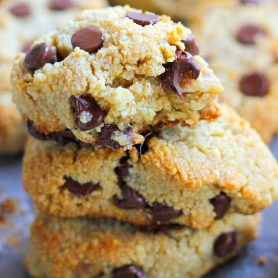 Paleo Chocolate Chip Scones