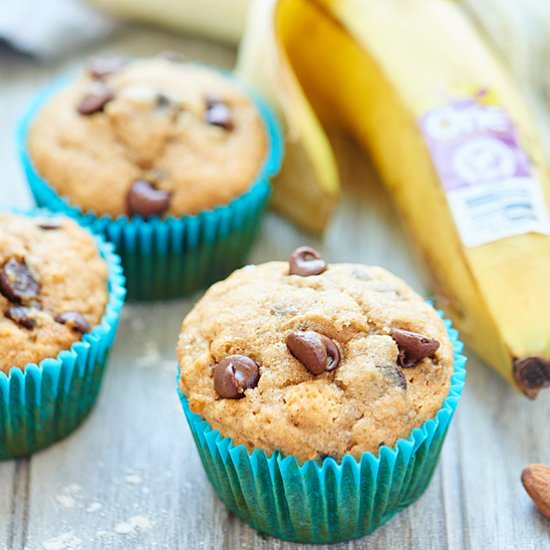 Vegan Banana Chocolate Chip Muffins