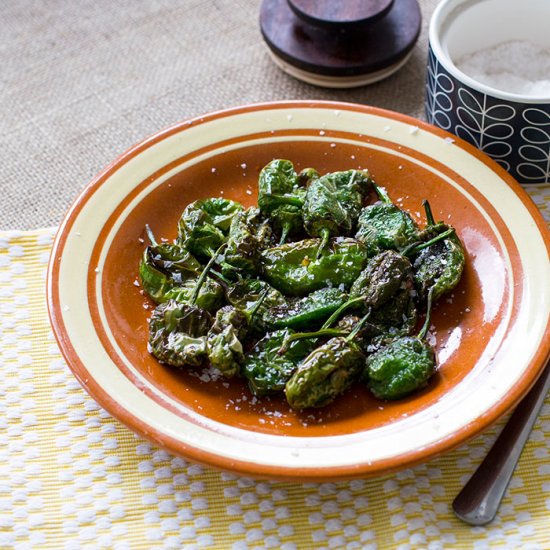 Deep fried Padron peppers