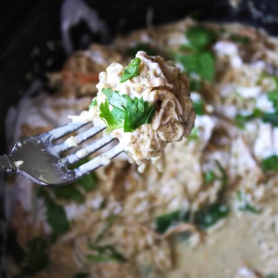 Crock-Pot Salsa Verde Chicken