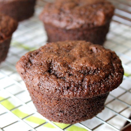 Chocolate Chocolate Chip Muffins