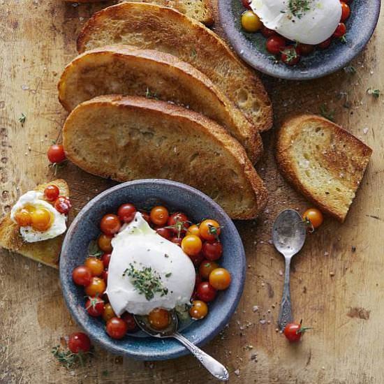 Burrata Tomato Toast