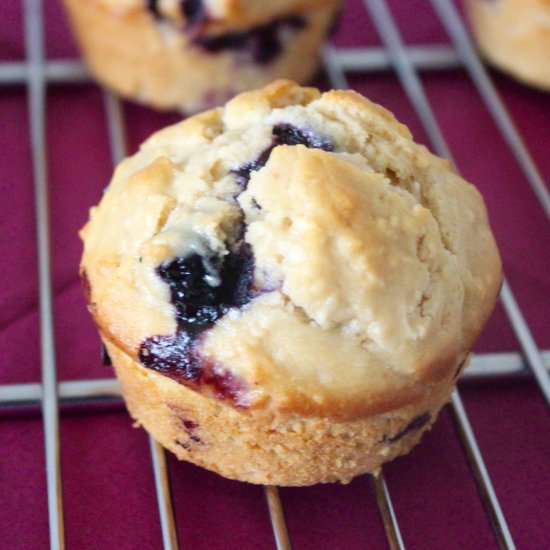 Blueberry Coconut Muffins