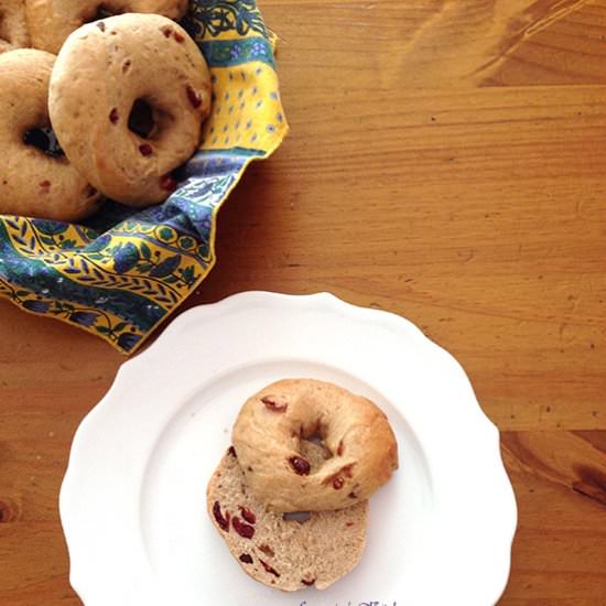 Cranberry Bagels