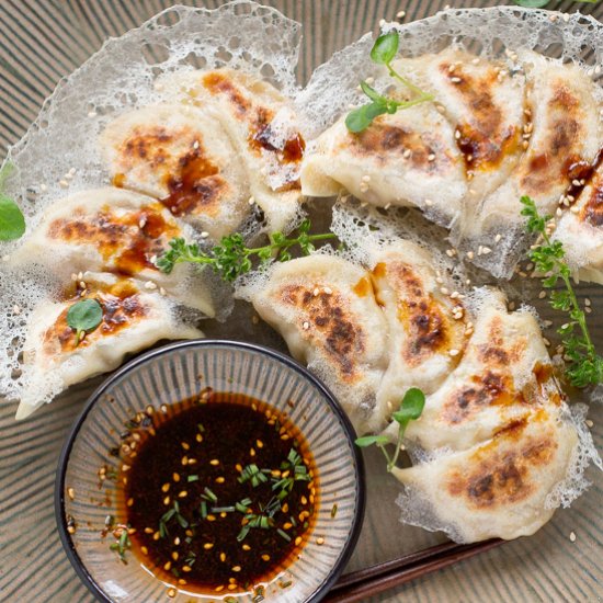 Pan-Fried Gyoza with Crispy Lattice