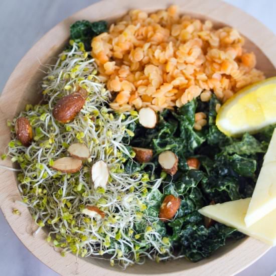 Kale and Lentil Bowl with Avocado