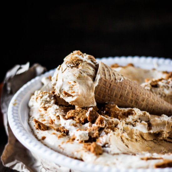 Pumpkin Cookie Butter Ice Cream