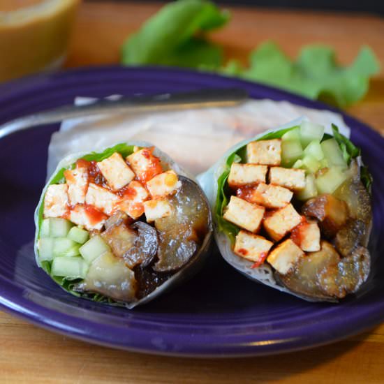 Eggplant and Spicy Tofu Spring Roll