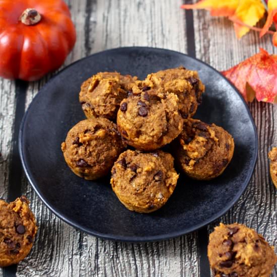 Pumpkin chocolate chip mini muffins