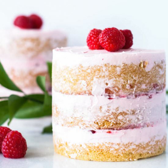 Raspberry Vanilla Mini Cakes