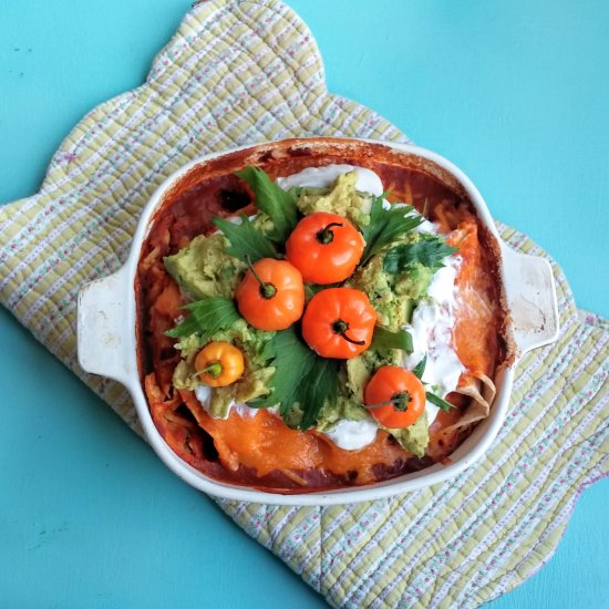 Pumpkin Veggie Enchiladas