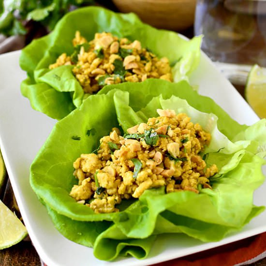 20 Minute Chicken Satay Lettuce Wraps