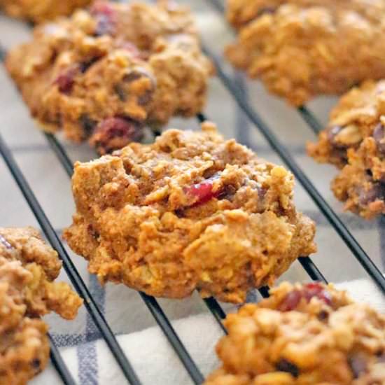 Chocolate Cranberry Pumpkin Cookies