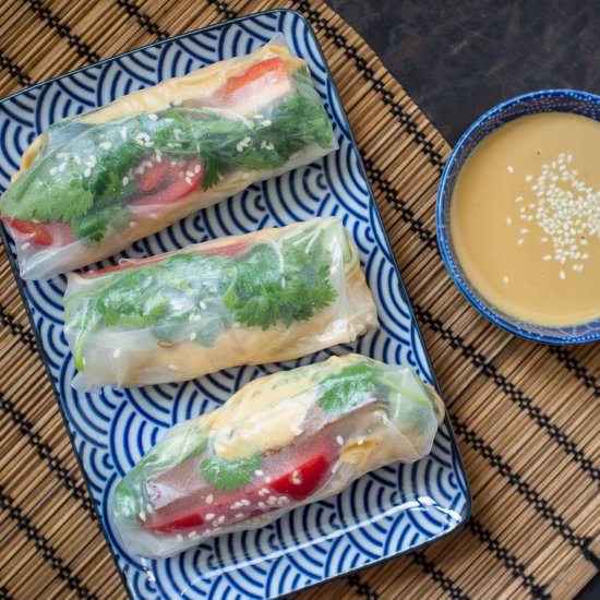 Oriental Hummus Summer Rolls