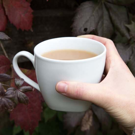 Simple Mulled Apple Cider