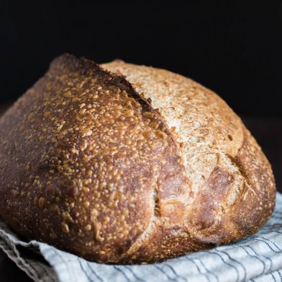 Baking Sourdough with Fresh Flour