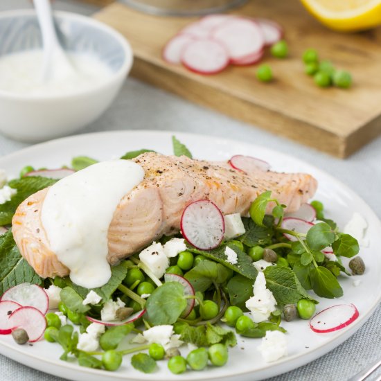 Poached Salmon and Yogurt Dressing