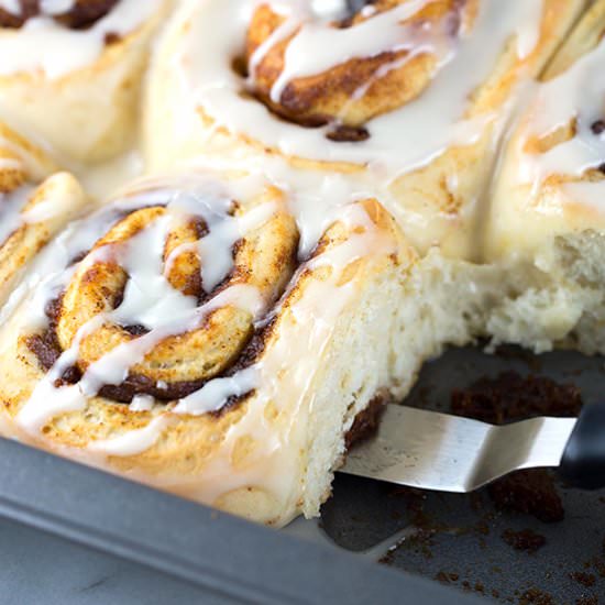 Pumpkin Butter Cinnamon Rolls