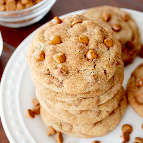 Cinnamon Chip Snickerdoodles