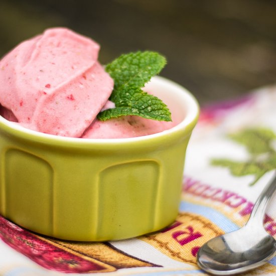 Dairy-Free Vegan Strawberry Coconut