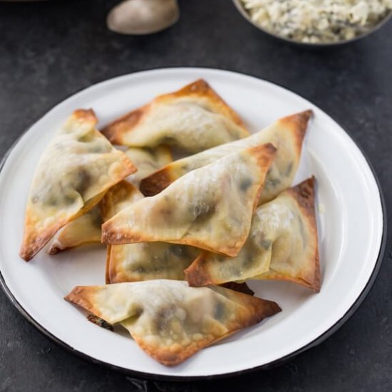 Butternut Squash and Spinach Wonton