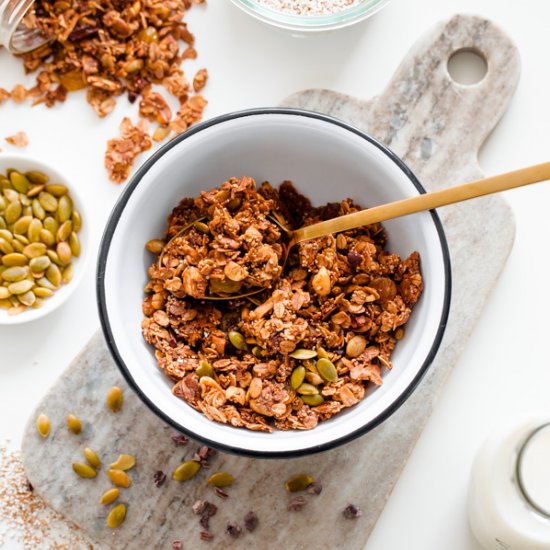 Mexican Granola