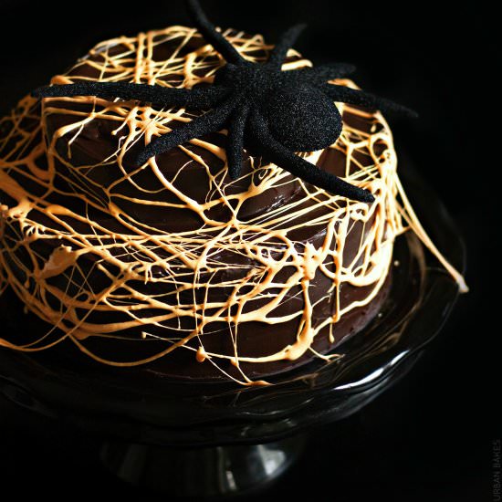 Spider Web Cake Decoration