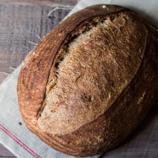 50% Fresh Milled Whole Wheat Sourdough