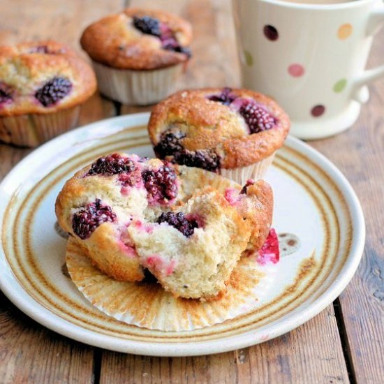 Blackberry Muffins