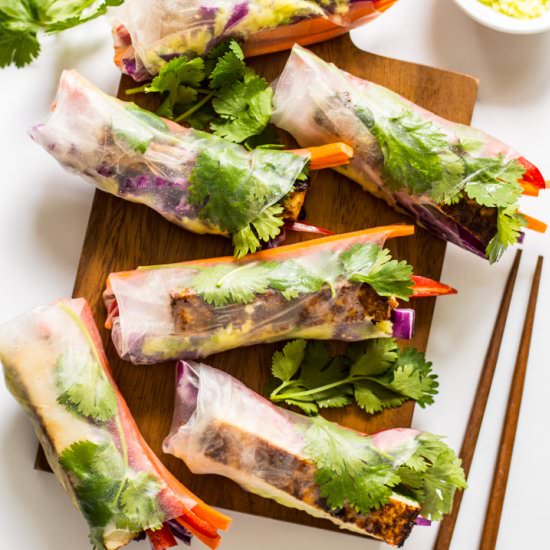 Red Curry Tofu Spring Rolls