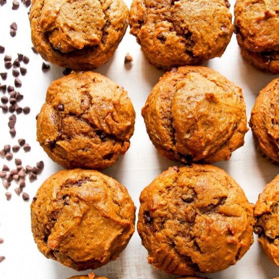 Pumpkin Chocolate Chip Muffins