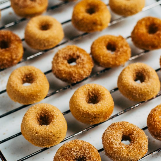 Baked Apple Cider Mini Donuts