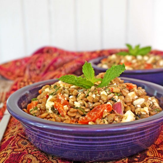 Lentil Salad with Feta and Mint