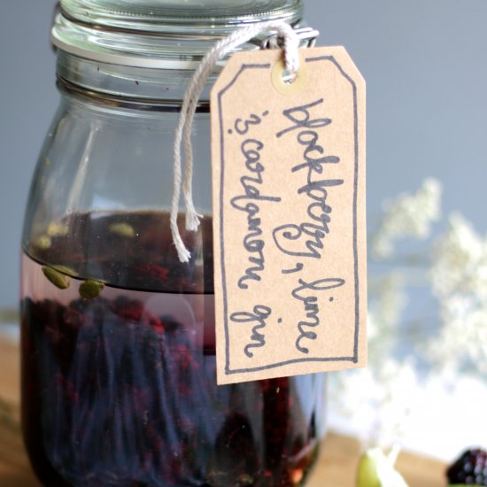 Blackberry, Lime and Cardamom Gin