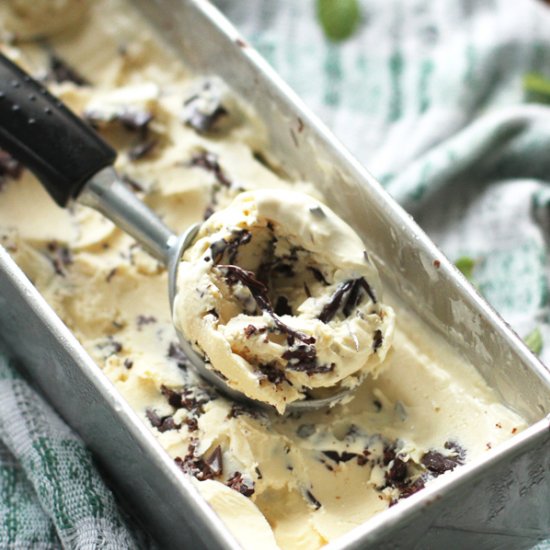 Mint Chocolate Chip Ice Cream