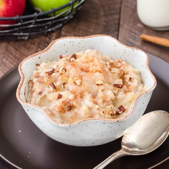 Slow Cooker Apple Cinnamon Oatmeal