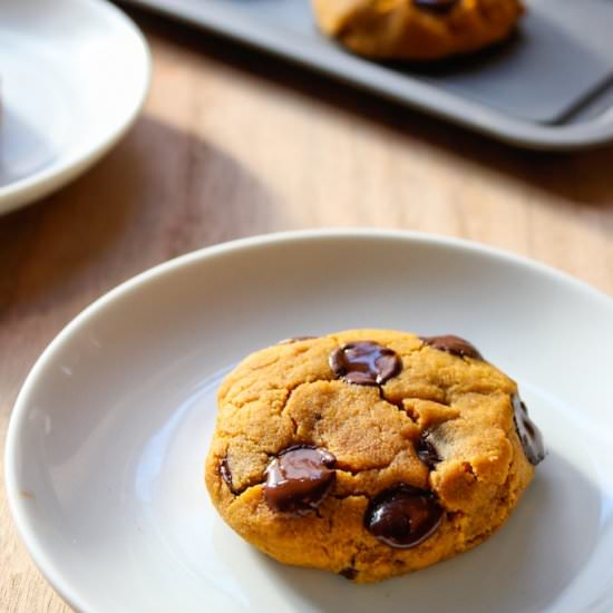 Vegan Chocolate Chip Pumpkin Cookie