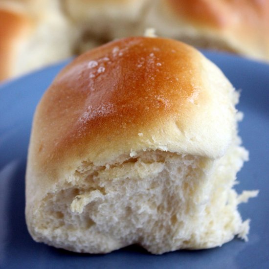 Classic Dinner Rolls