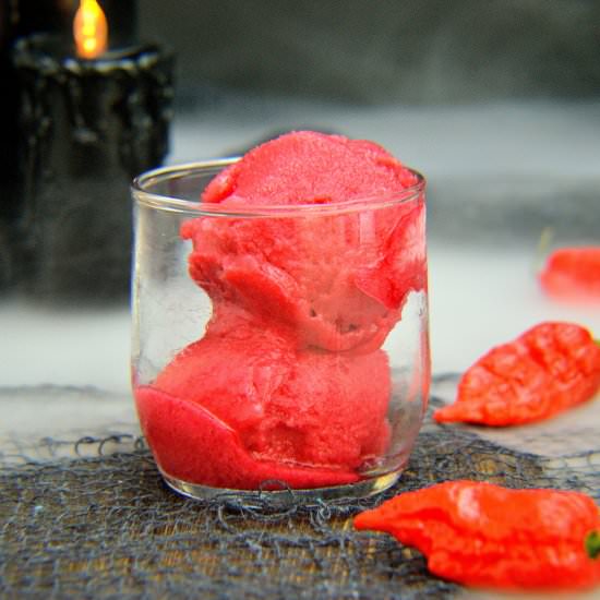 Ghost Pepper Raspberry Sorbet