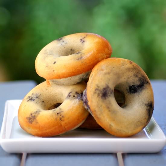 Blueberry Baked Protein Donuts