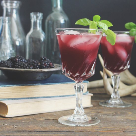 Blackberry Cran-Apple Punch