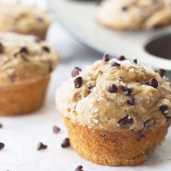 Peanut Butter Chocolate Chip Muffin